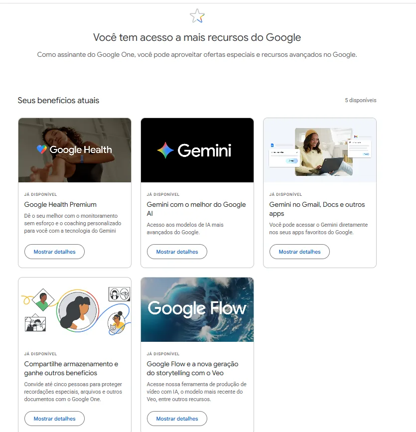 Painel Google One mostrando 5 benefícios ativos incluindo Gemini, Google Flow, Google Health